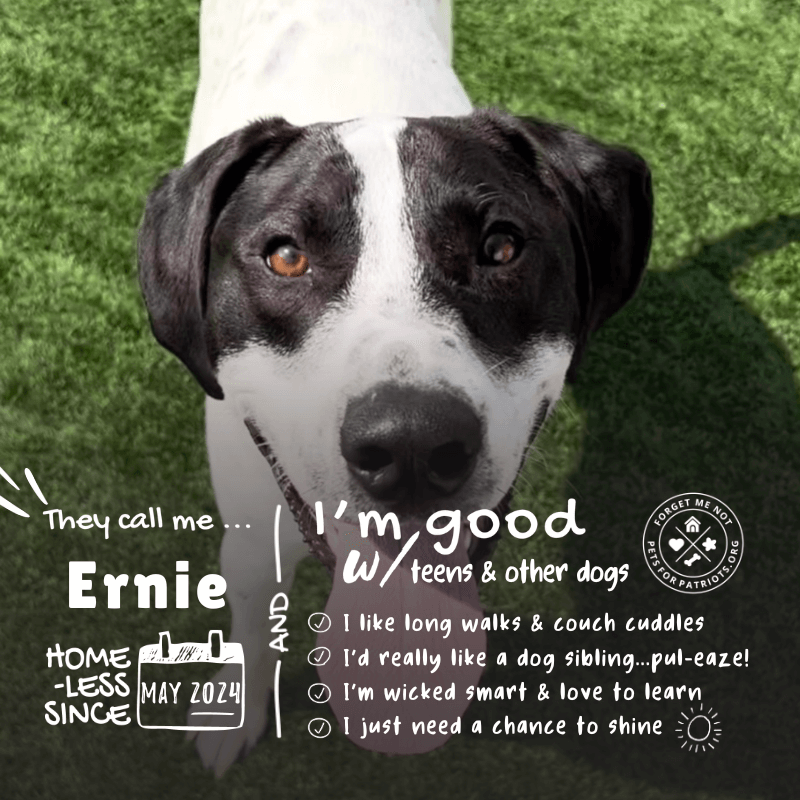 Ernie