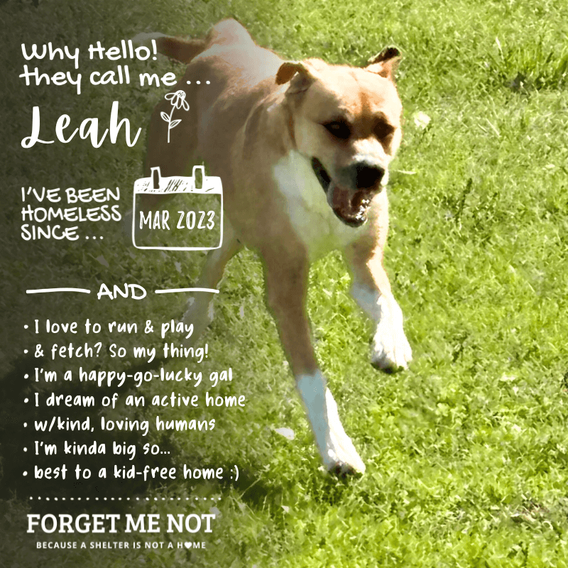 Leah
