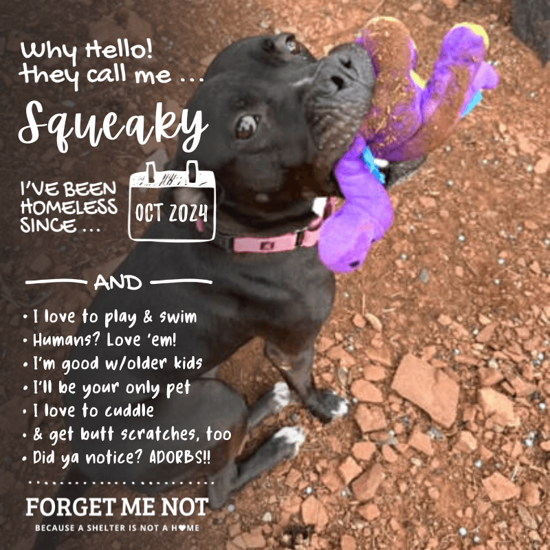 Squeaky