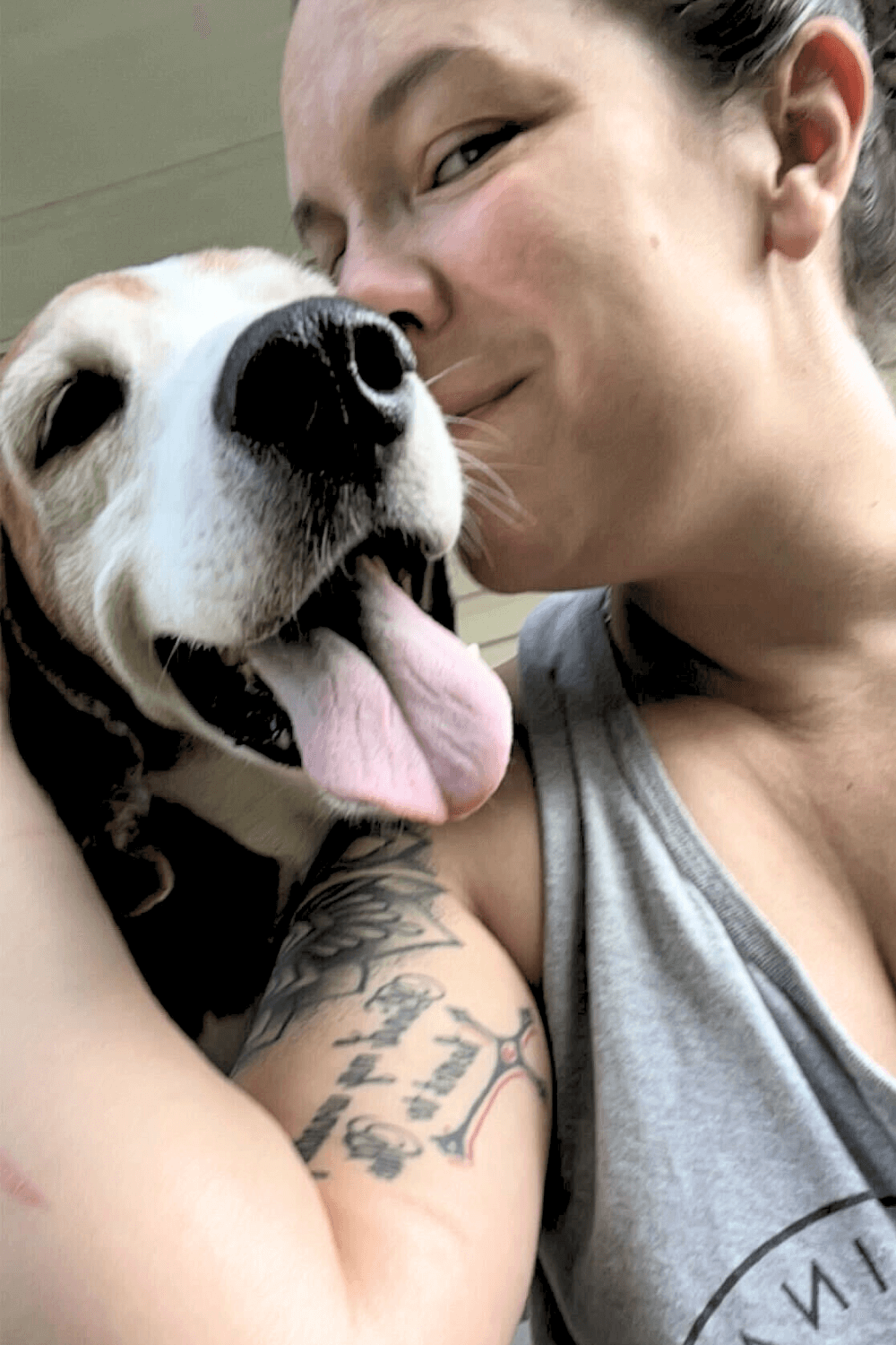 Abandoned hound gets last chance for a second chance at life