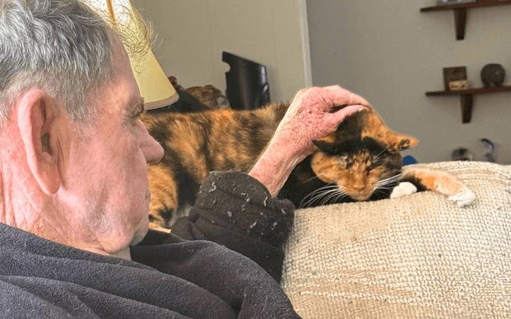 How an old abandoned cat became a widowed Vietnam veteran's lifeline