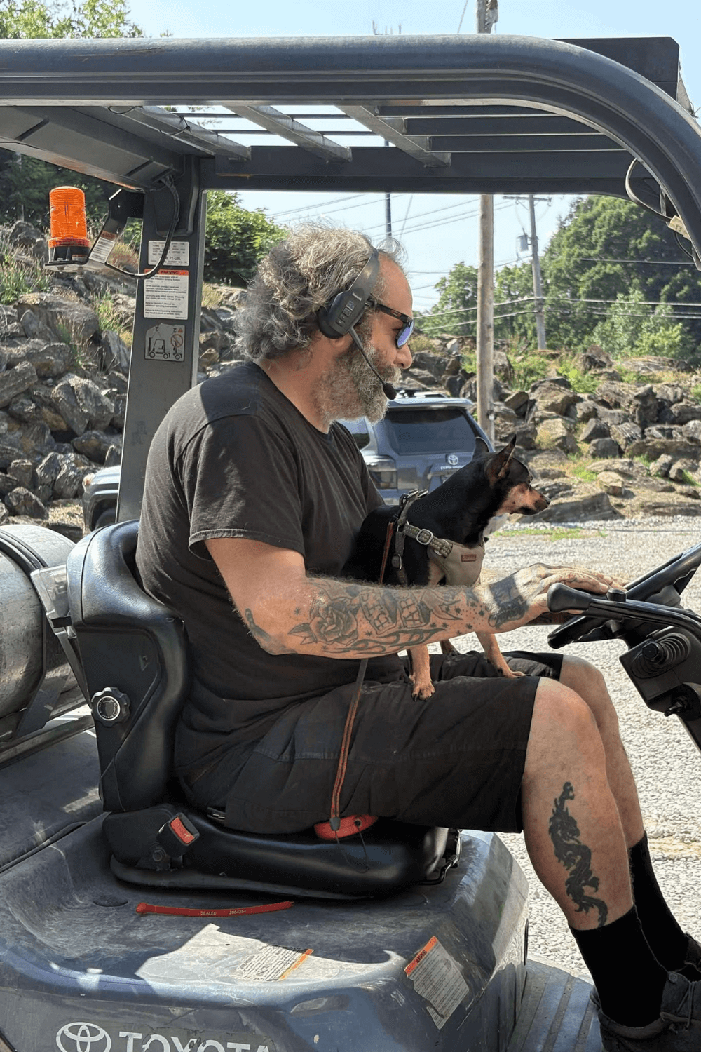 From shelter to shotgun—my ride to forever