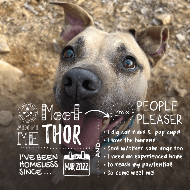 Thor