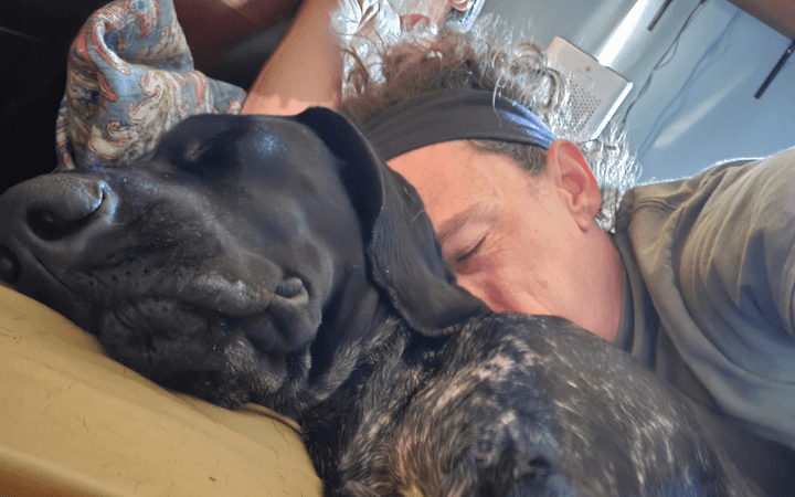 Life after combat: how a rescue dog helps a war veteran find peace