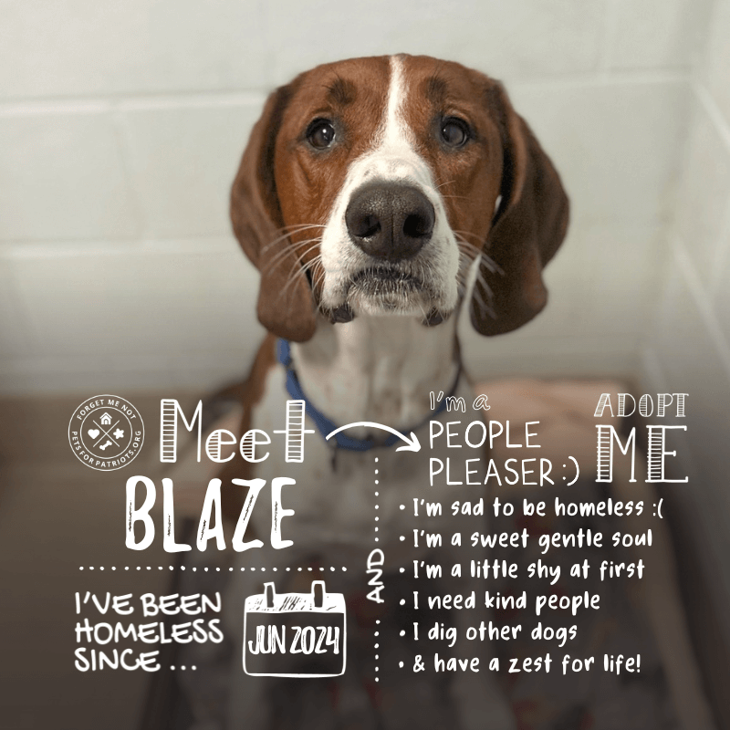 Blaze