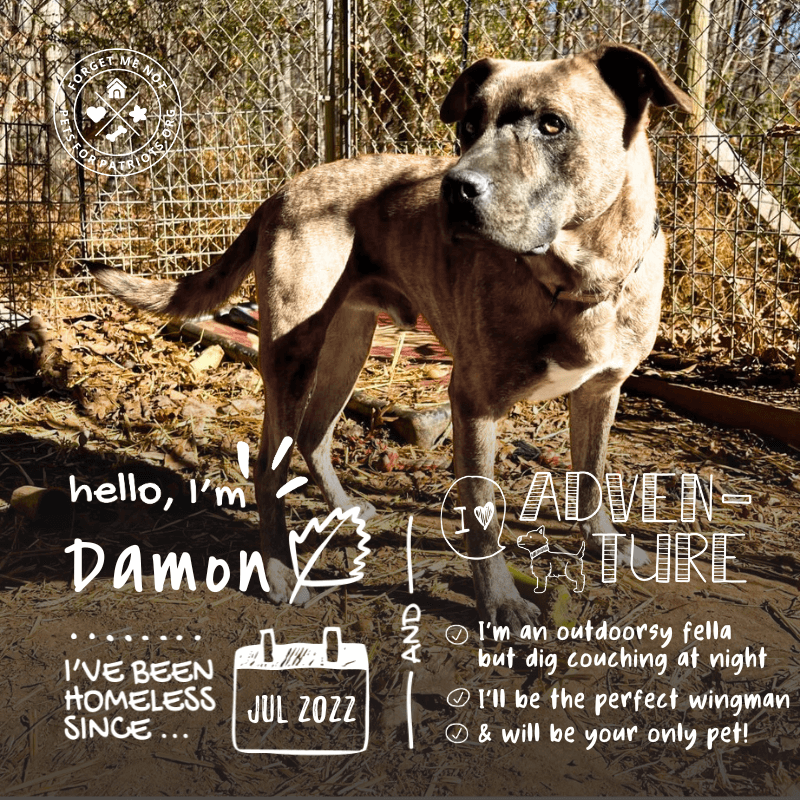 Damon
