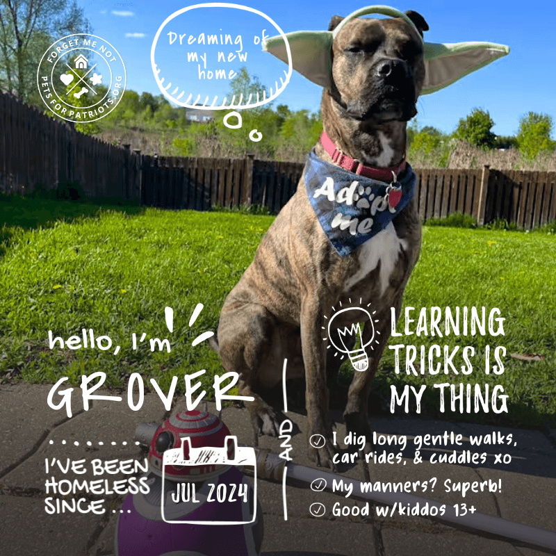 Grover