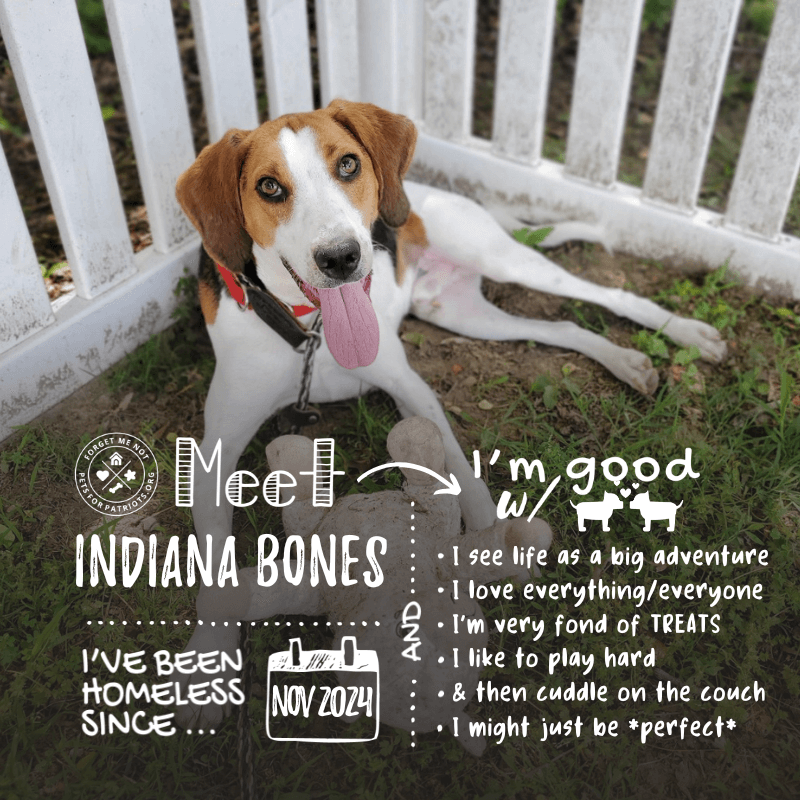Indiana Bones