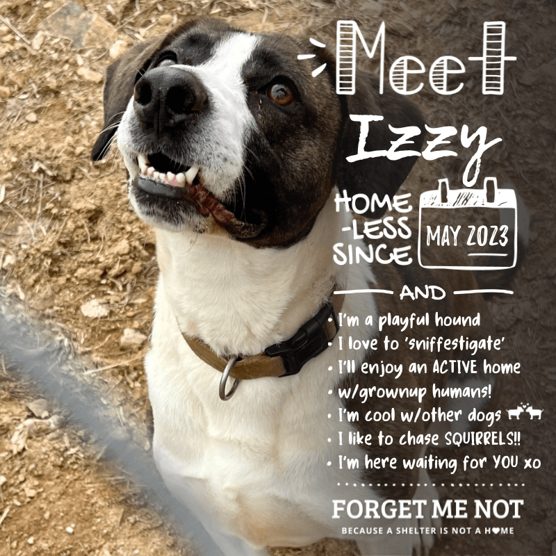 Izzy