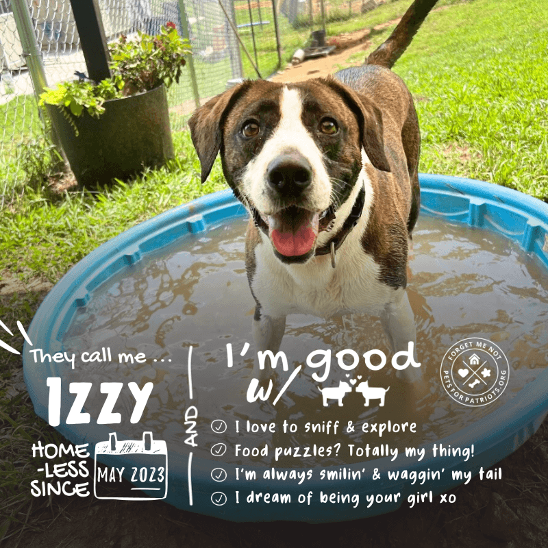 Izzy