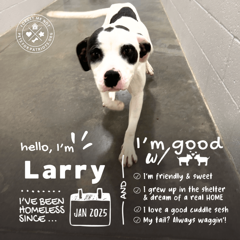 Larry