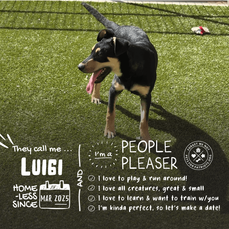 Luigi