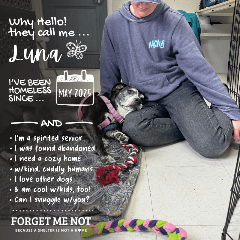 Luna