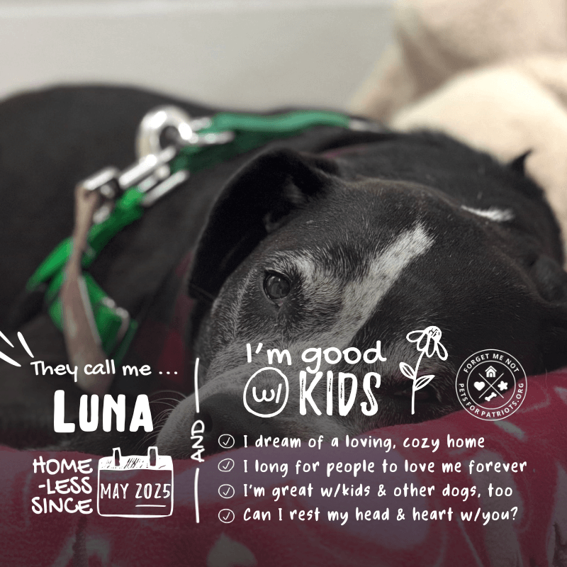 Luna