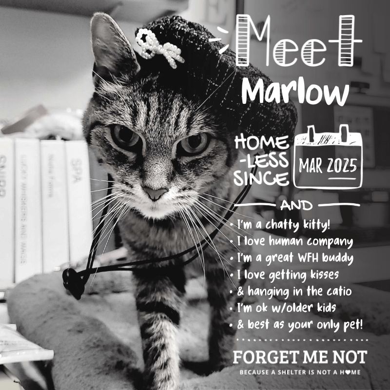 Marlow