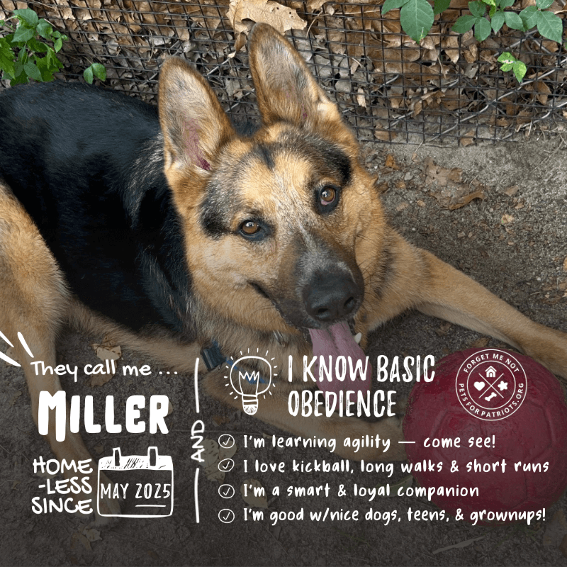 Miller