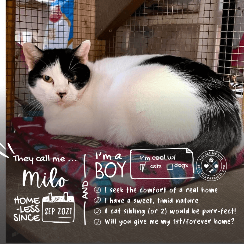 Milo