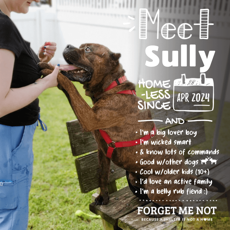 Sully