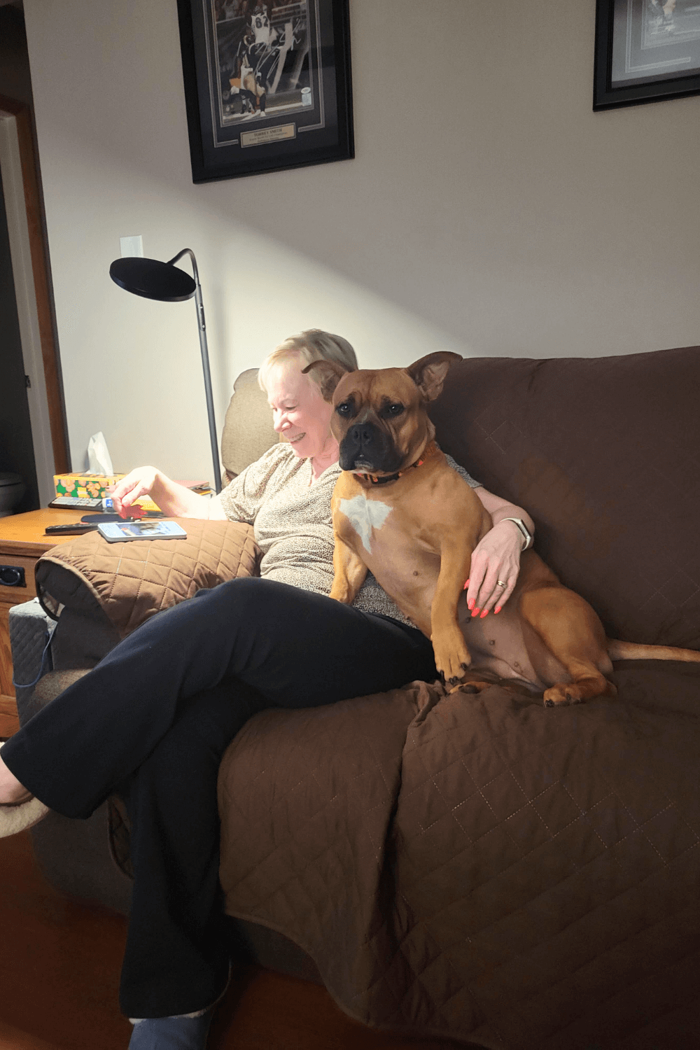 Pretty Pittie with big personality chooses Army veteran to adopt her