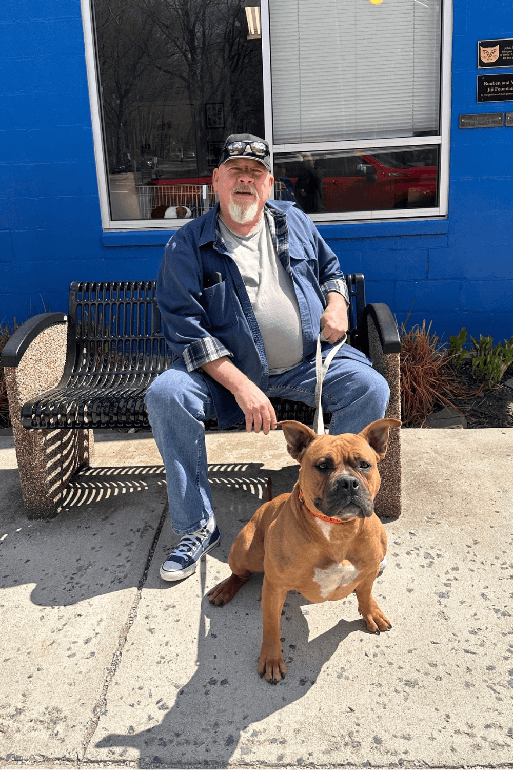 Pretty Pittie with big personality chooses Army veteran to adopt her