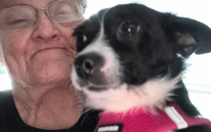 Joyful rescue dog an answer to prayer for veteran's mental illness