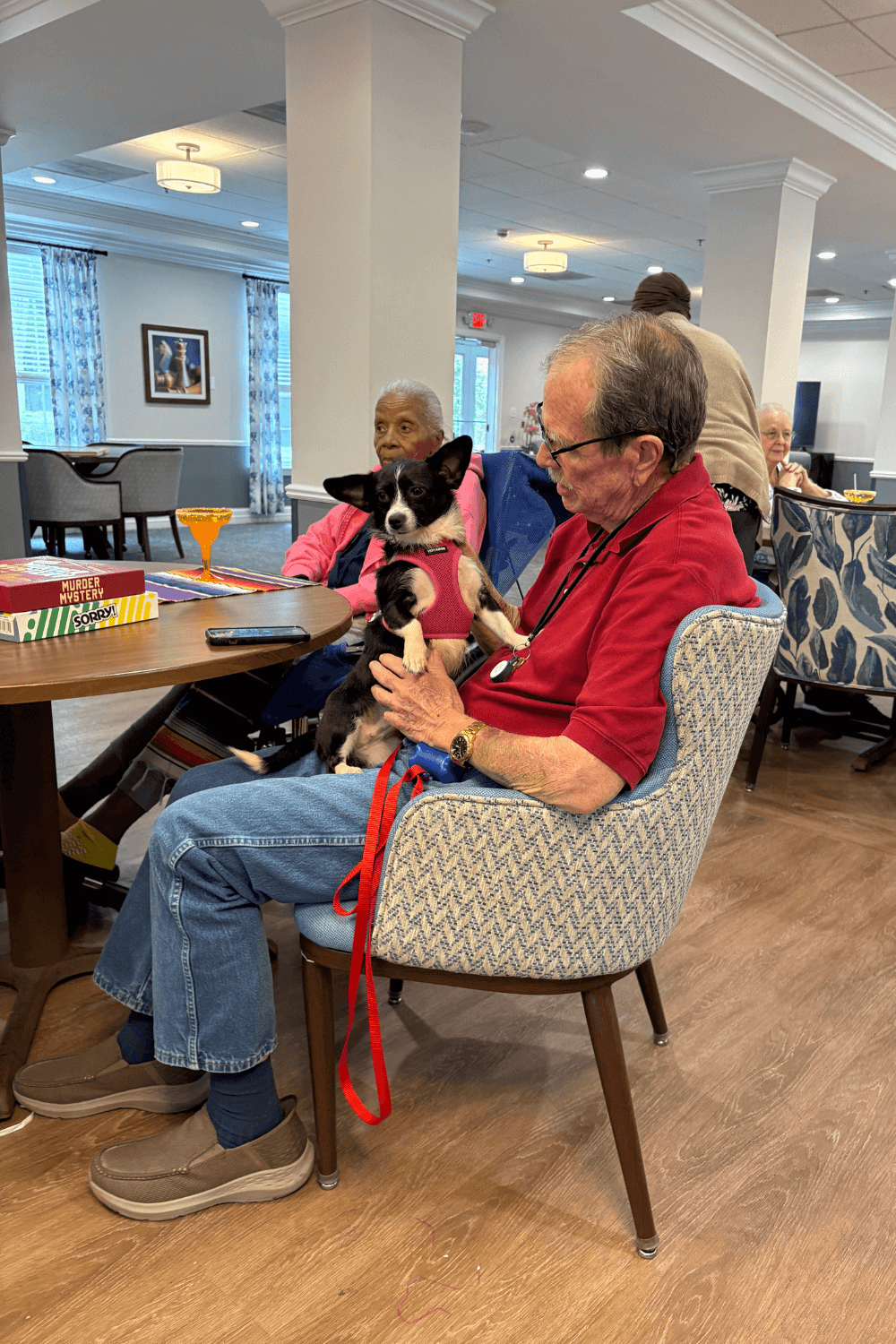 Joyful rescue dog an answer to prayer for veteran's mental illness
