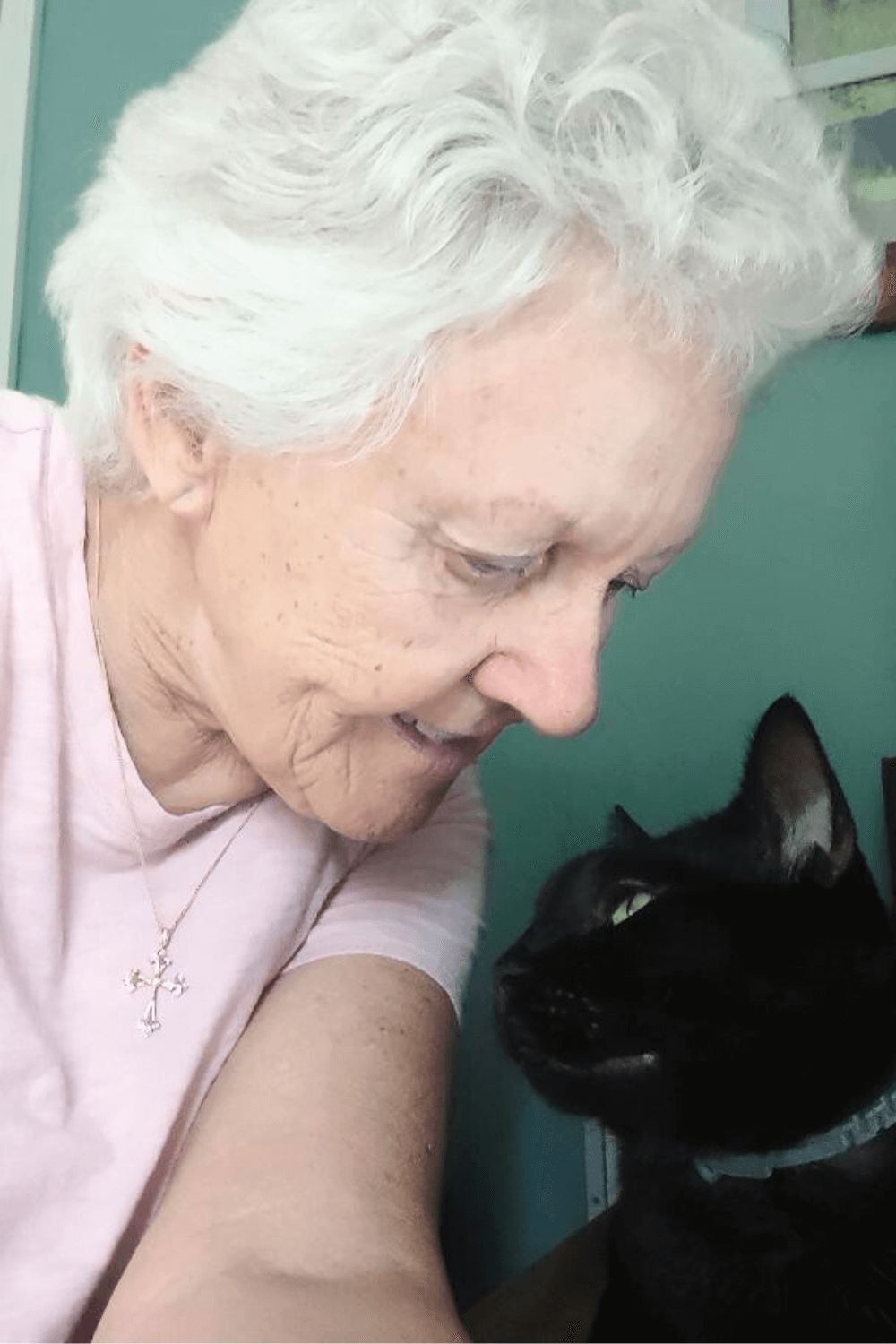 Prayers answered: black cat brings luck and love to lonely veteran