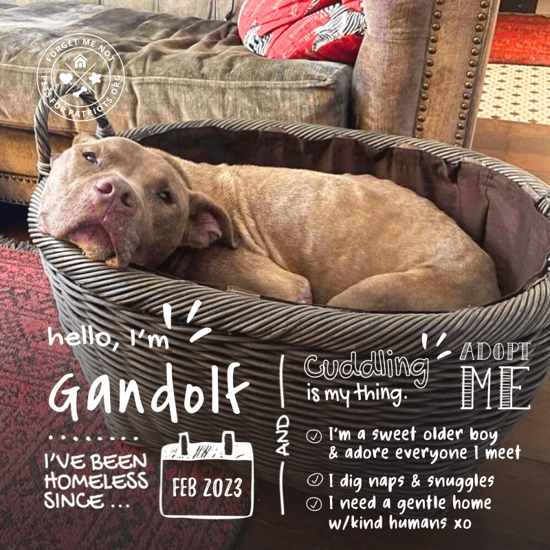 Gandolf