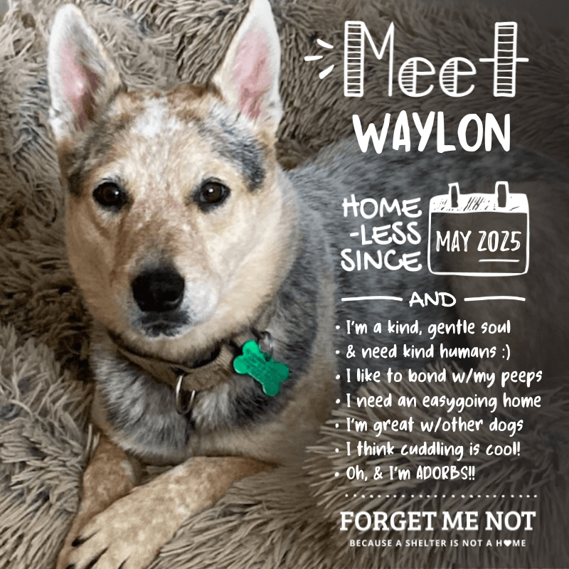 Waylon