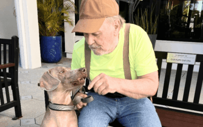 Home at last for once homeless elderly veteran and shelter dog