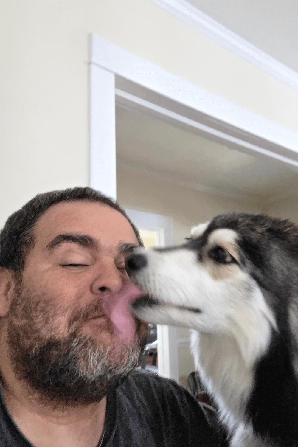 Tripawd dog and disabled Army veteran offer lesson in resilience