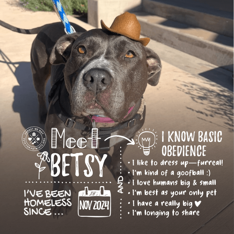 Betsy