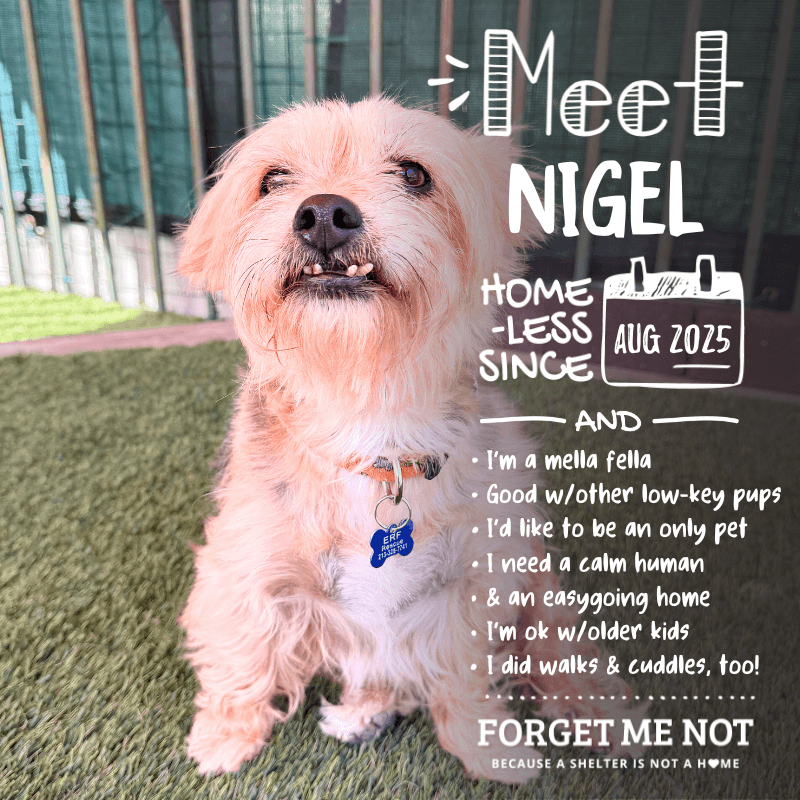 Nigel