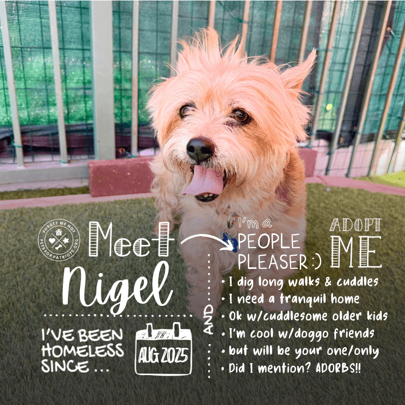 Nigel