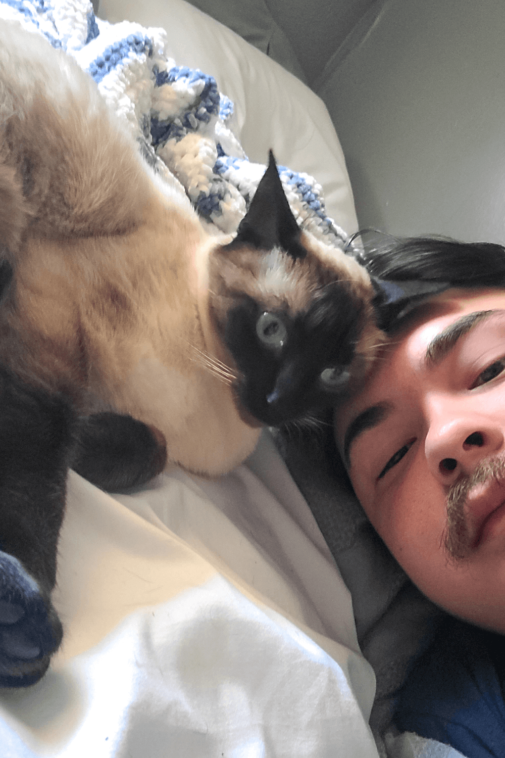 Rescue cat gives quiet hope to veteran coping with post-military life