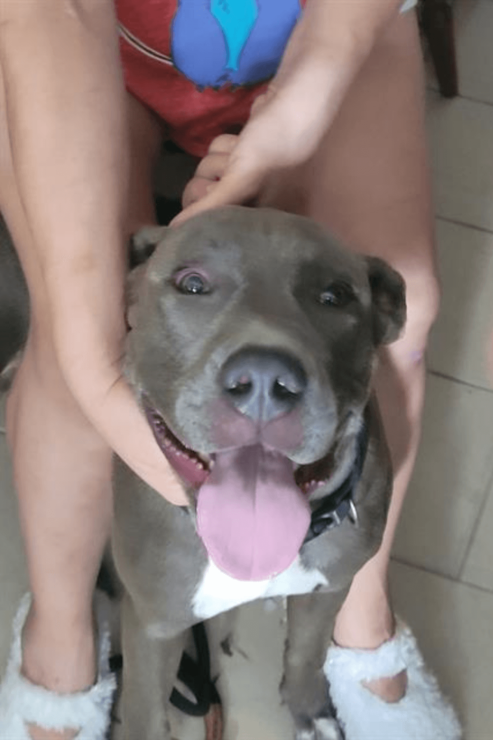 Canine battle buddy helps struggling Iraq war veteran reclaim his life