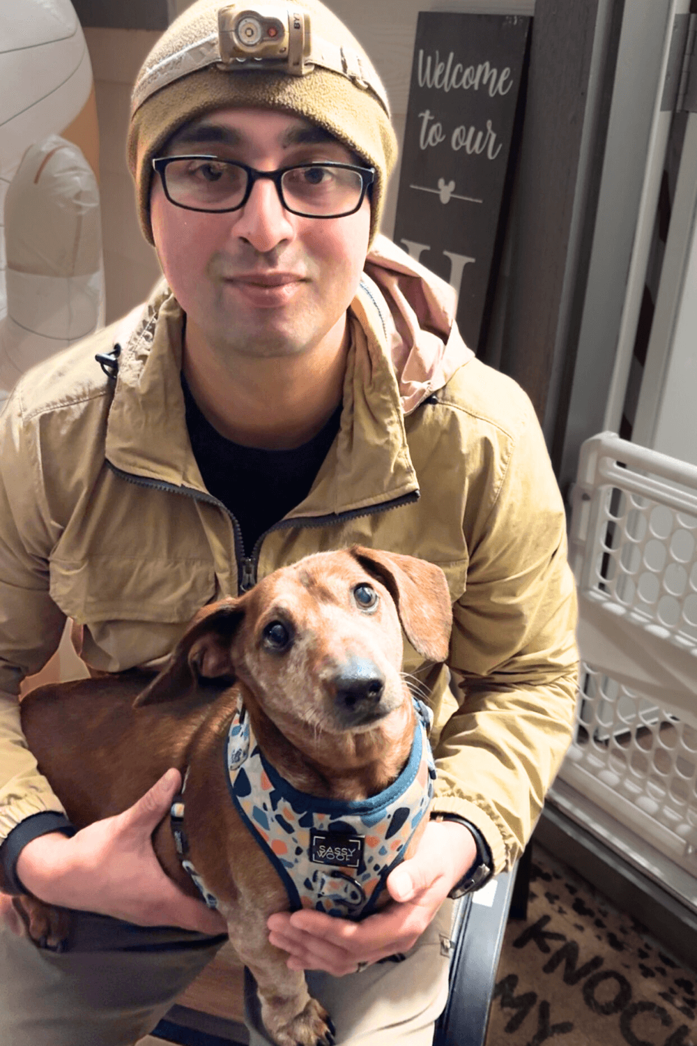 Senior rescue dog joins a young Army family on the move