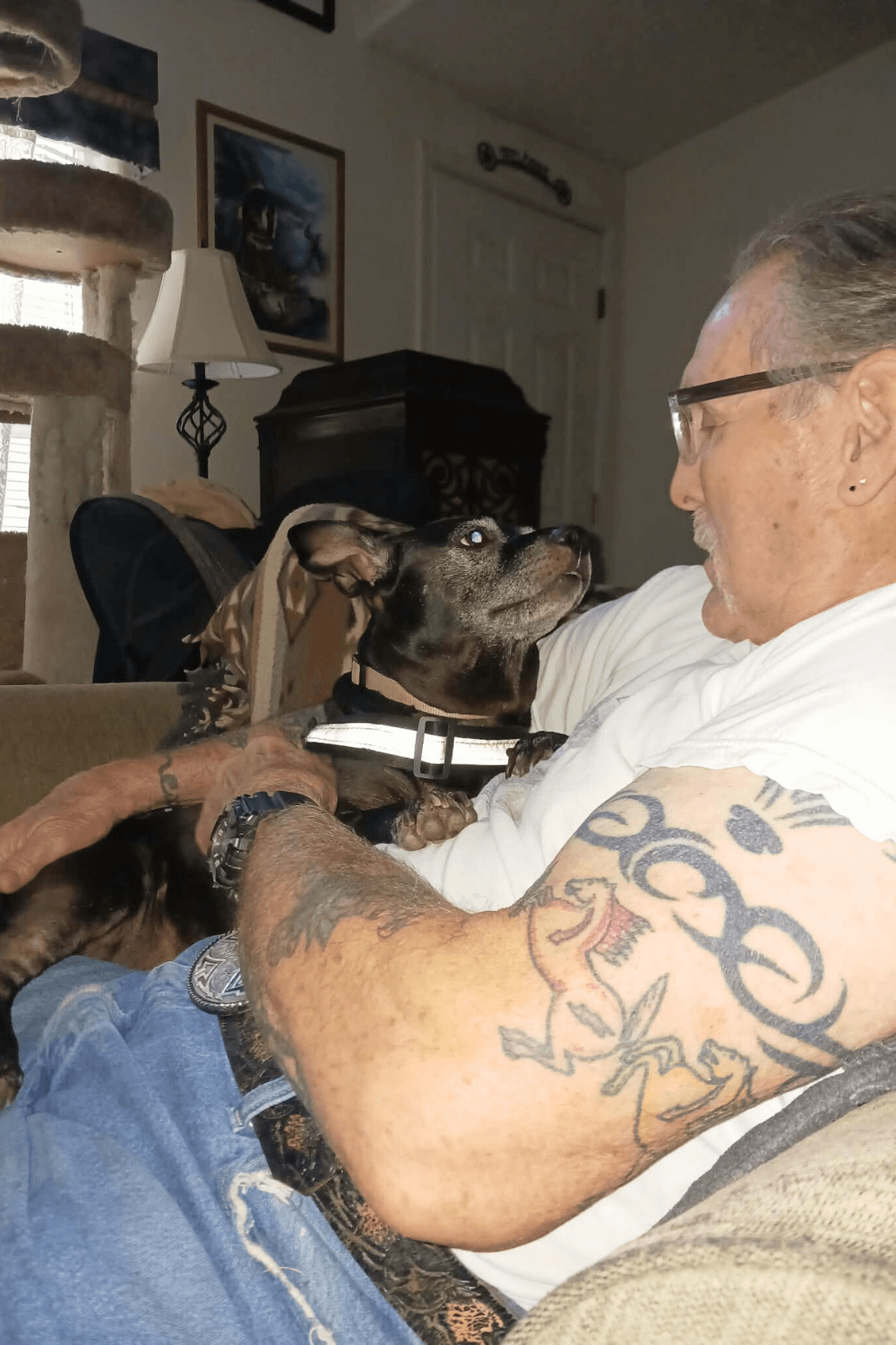 Veteran military K9 handler devoted to saving senior dogs