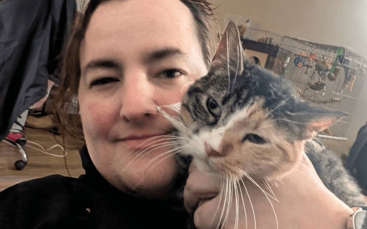 There's something about Harvey: cuddlesome cat to the rescue