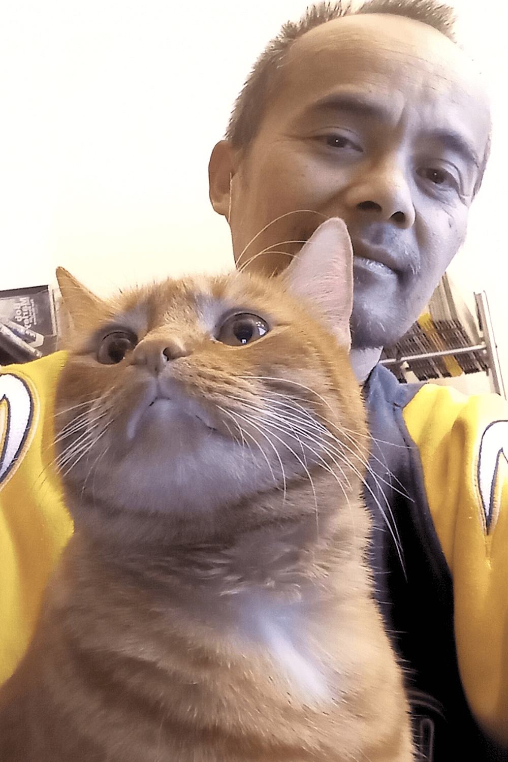 Once fat rescue cat helps Navy veteran see the true beauty in life