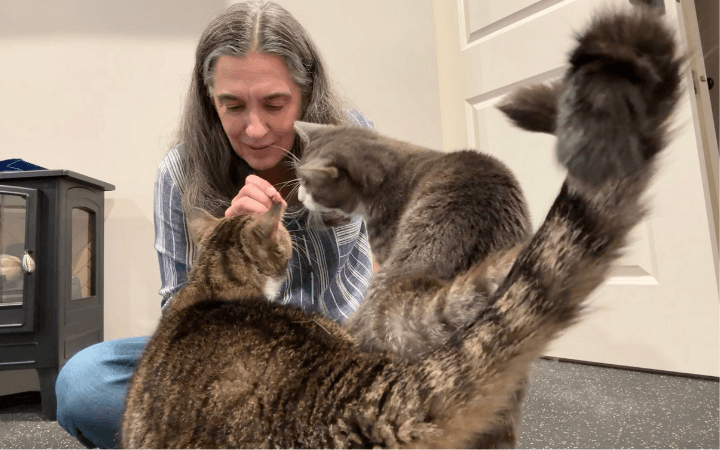 Bonded pair of cats help an Army veteran reclaim her well-being