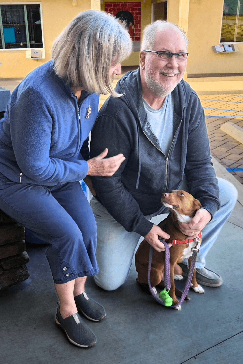 Oversized lap dog and Navy veteran chart new course together