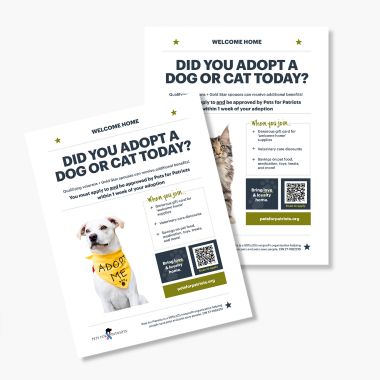 Flyer - did you adopt today?