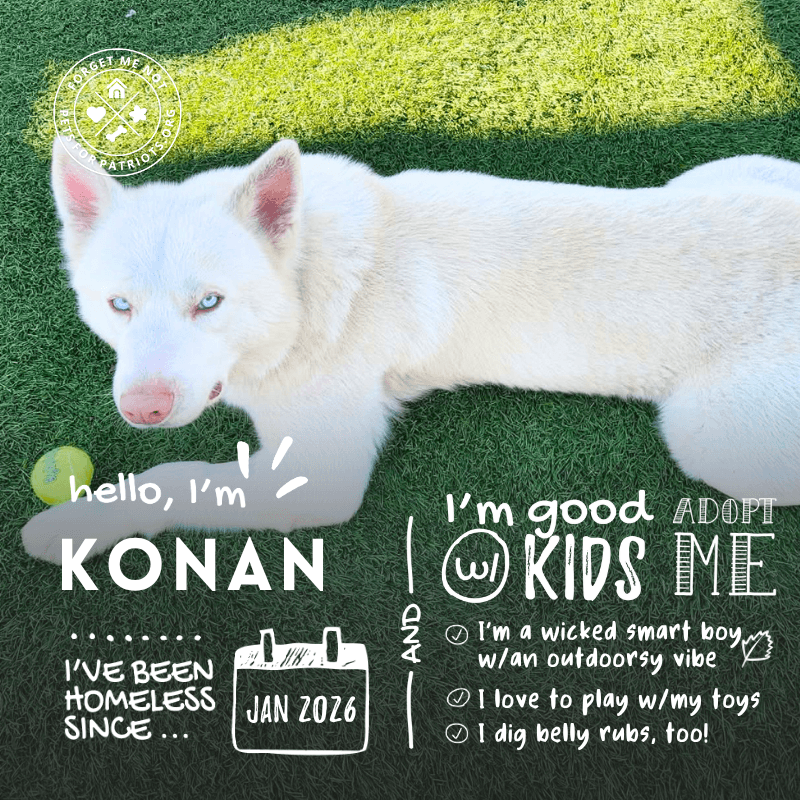 Konan