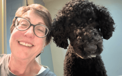 Timing is everything for Air Force veteran and spirited rescue dog