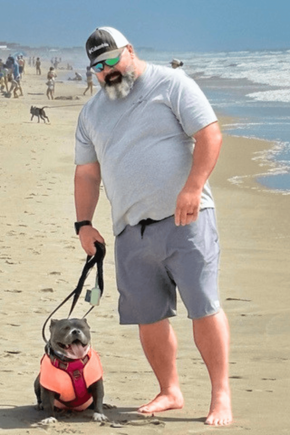 Cuddlesome rescue dog the chef's kiss for Marine Corps veteran
