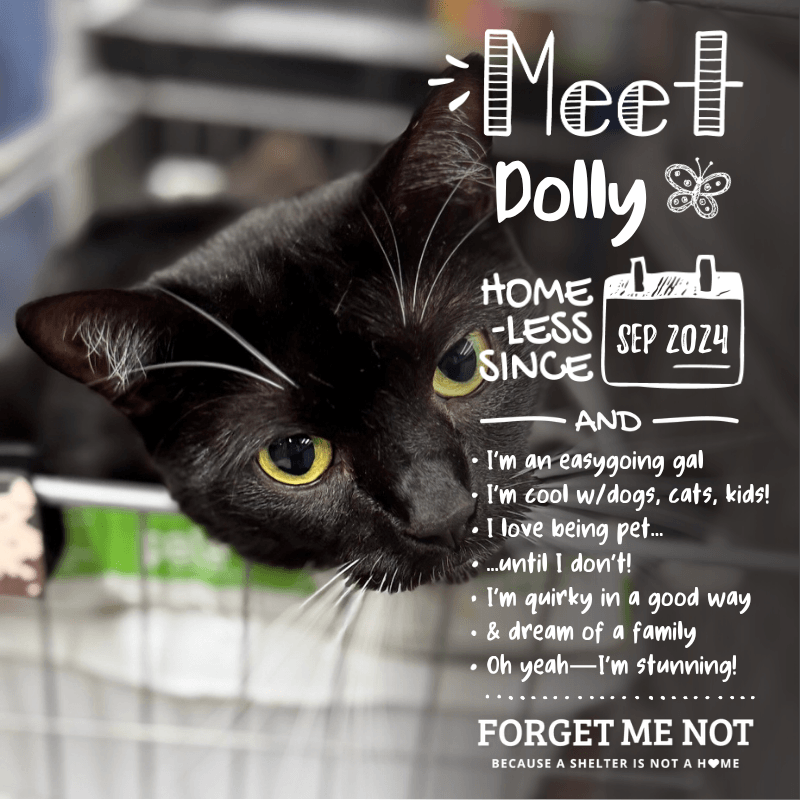 Dolly