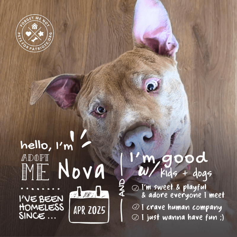 Nova