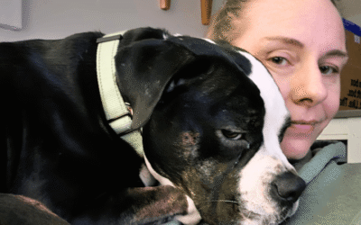 Rescue dog a savior to Air Force veteran recovering from lifesaving surgery