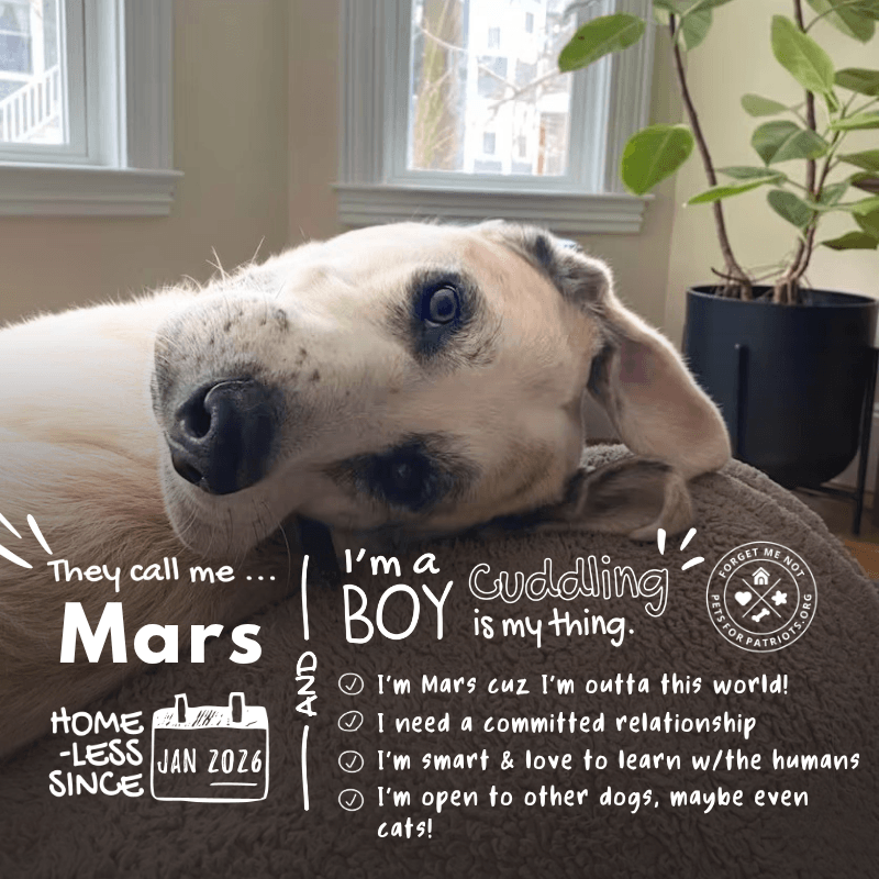 Mars